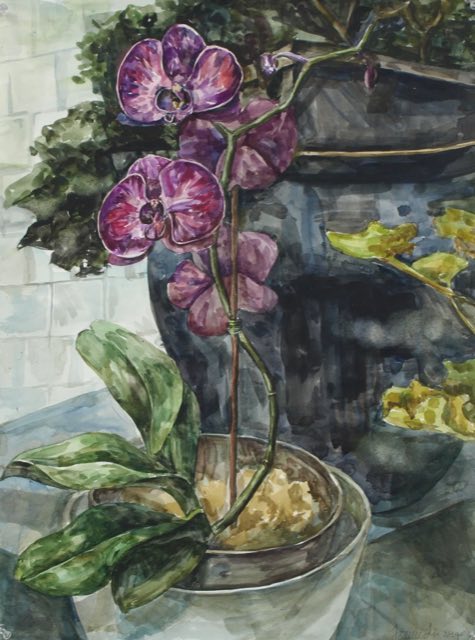 Flower study.