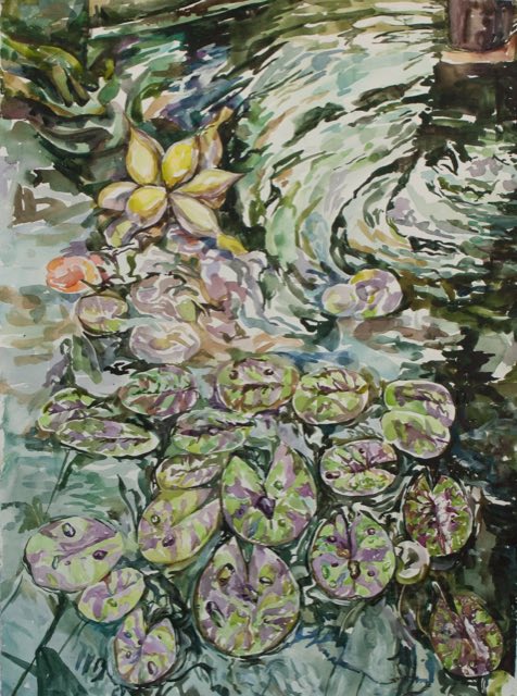 Water lilies study.
